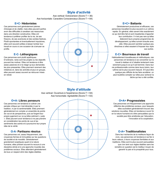 🩺 Profil’Psy – Votre Test de Personnalité pour Compléter Votre Dossier – Image 6