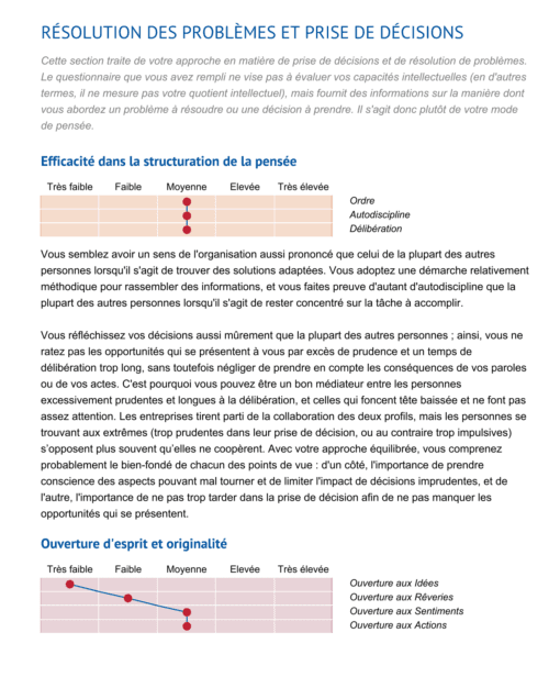 🔄 Pack Synergie – L’Analyse Personnalité la Plus Complète ! – Image 3