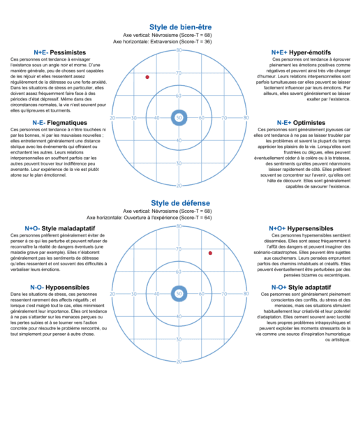 🩺 Profil’Psy – Votre Test de Personnalité pour Compléter Votre Dossier – Image 5