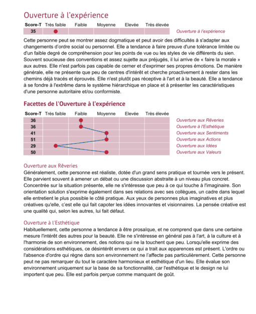 🩺 Profil’Psy – Votre Test de Personnalité pour Compléter Votre Dossier – Image 2