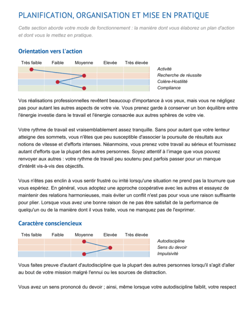 🚀 Rapport Pro Evolution – Optimisez Vos Compétences et Votre Carrière – Image 2